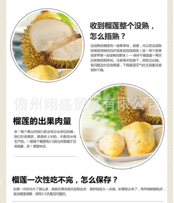 海南與泰國榴蓮 品質(zhì)、品種與選購指南
