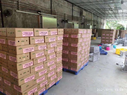 加油！廉江近萬箱愛心農產品馳援抗疫一線