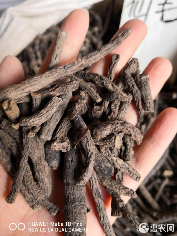 仙茅 優(yōu)質(zhì)干貨，量大從優(yōu)，綠色初級(jí)農(nóng)產(chǎn)品