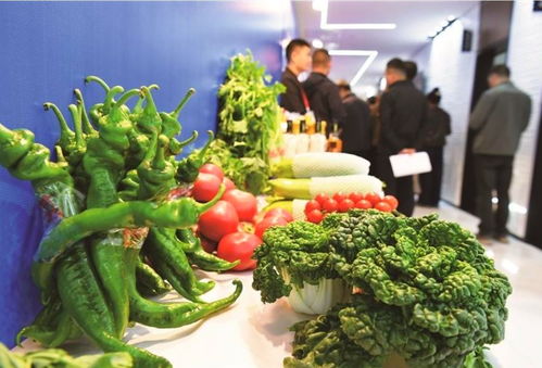 高原明珠 綠色珍品 西寧冷涼蔬菜與西寧草莓品牌隆重發(fā)布