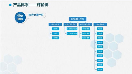 智信九鼎技術(shù)價值評價 軟件技術(shù)推廣服務的專業(yè)賦能