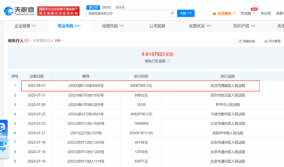 國美電器遭強制執(zhí)行6806萬元，日用品批發(fā)業(yè)務(wù)成謎