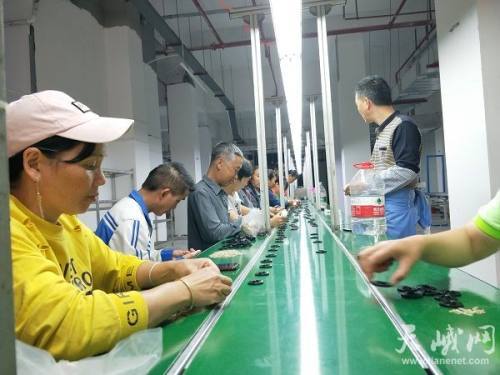 長安家園喜迎電子廠入駐，產(chǎn)業(yè)興農(nóng)助力鄉(xiāng)村振興，點亮日用家電零售新篇章